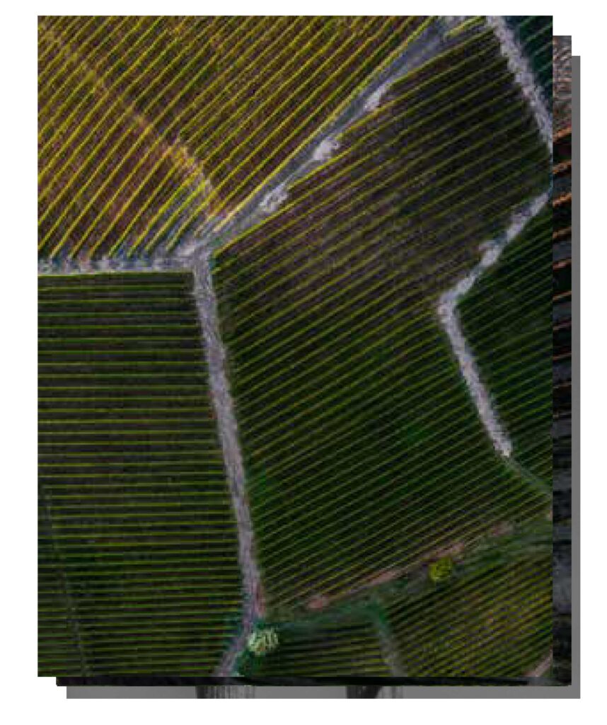 Carta dei Vini 2026 — Cantina Piemontese